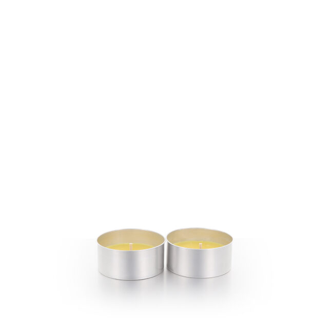 434571 085 citronella 2