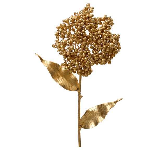 Allium gold 5252