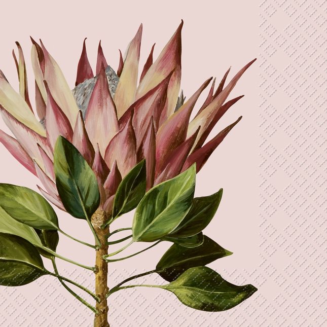 Servietten karma 7587