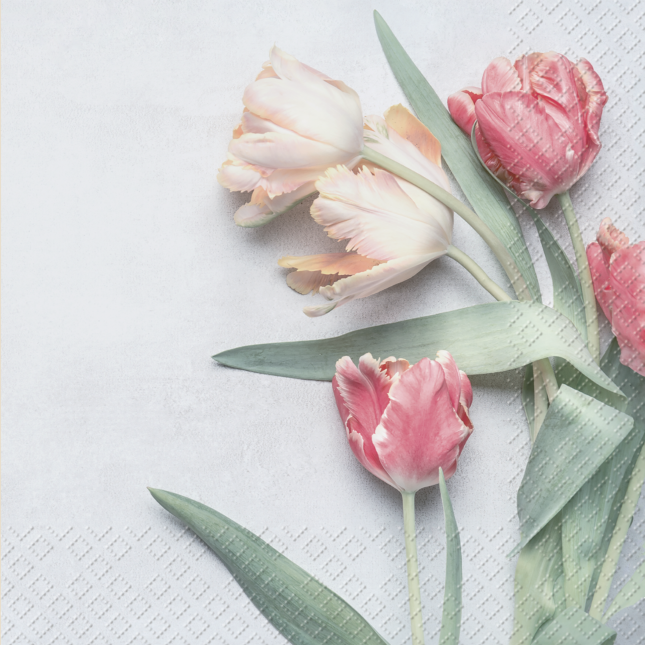 Servietten tulipe 4449