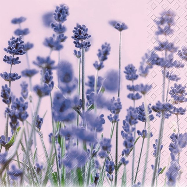 Servietten violet 8825