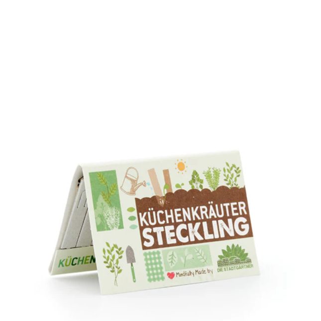 Steckling kraeuter 4657