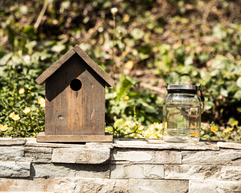 210503 Balthasar Garten 139 web