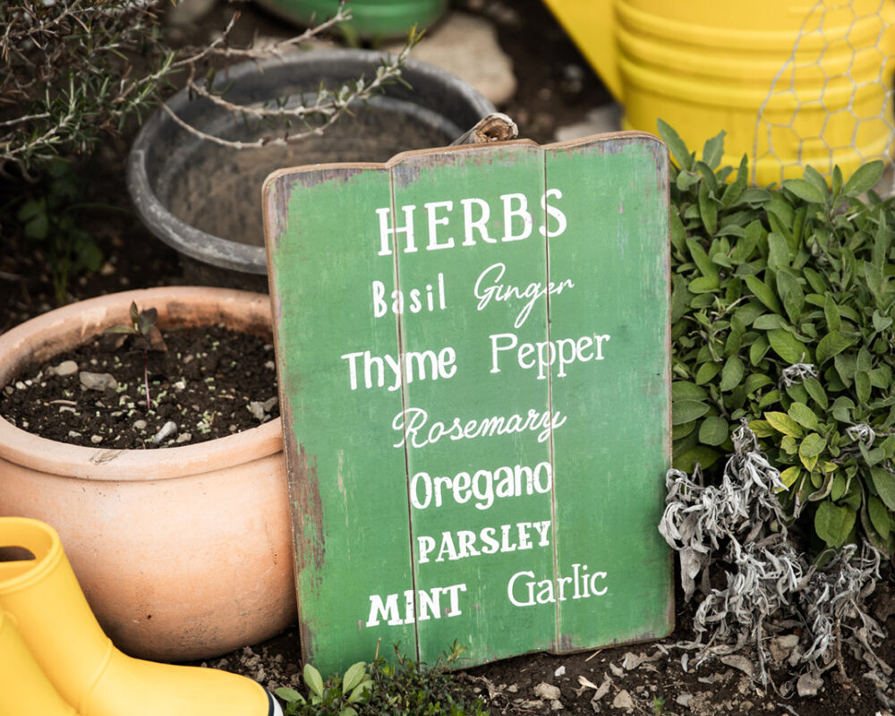 210503 Balthasar Garten 160 web