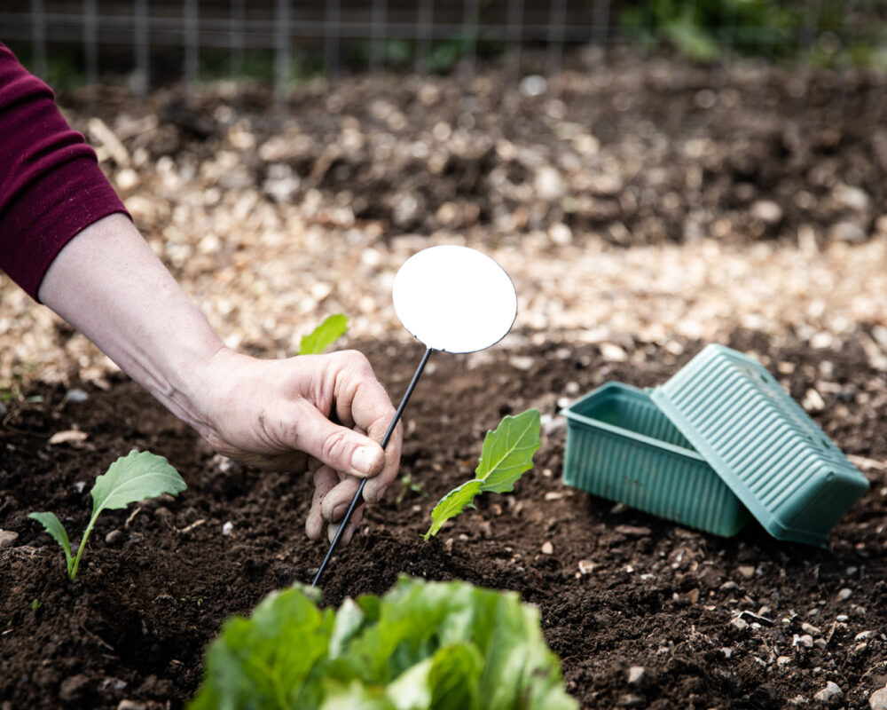 210503 Balthasar Garten 67 web