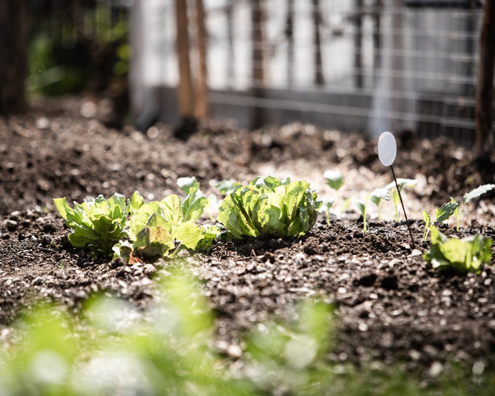 210503 Balthasar Garten 87 web