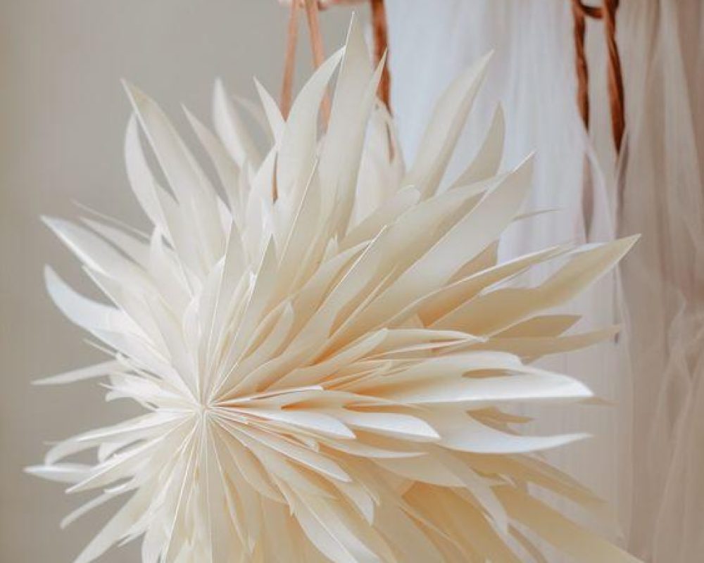 884b852a2429cdc796255abd6a2961c9