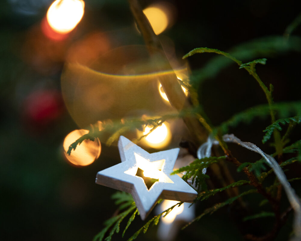 LED Lichterkette am Baum moment
