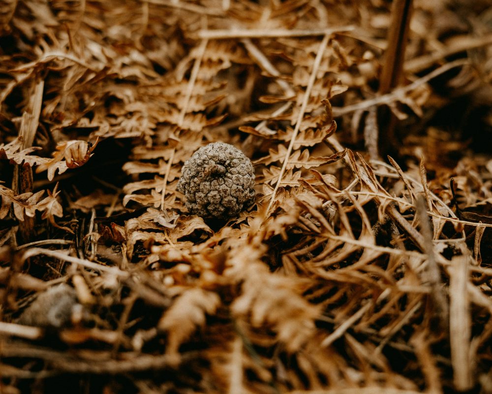 Annie spratt C5 Sbub KT ZQ unsplash