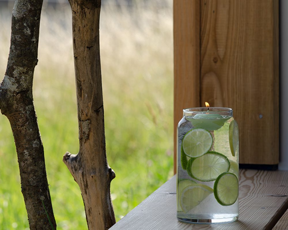 Aqualinos diy54 zitrus dekoration