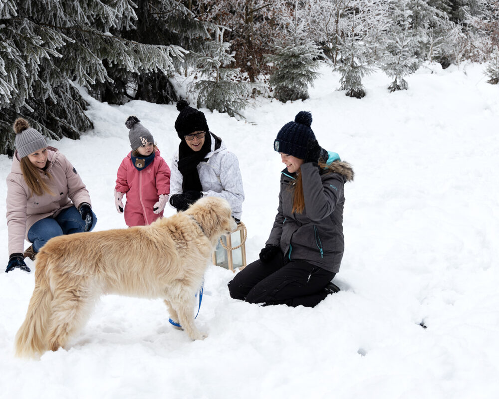 Ausklang im schnee spielen