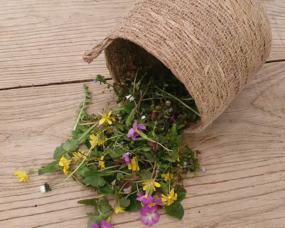 Blumenkerzen blumen sammeln pressen