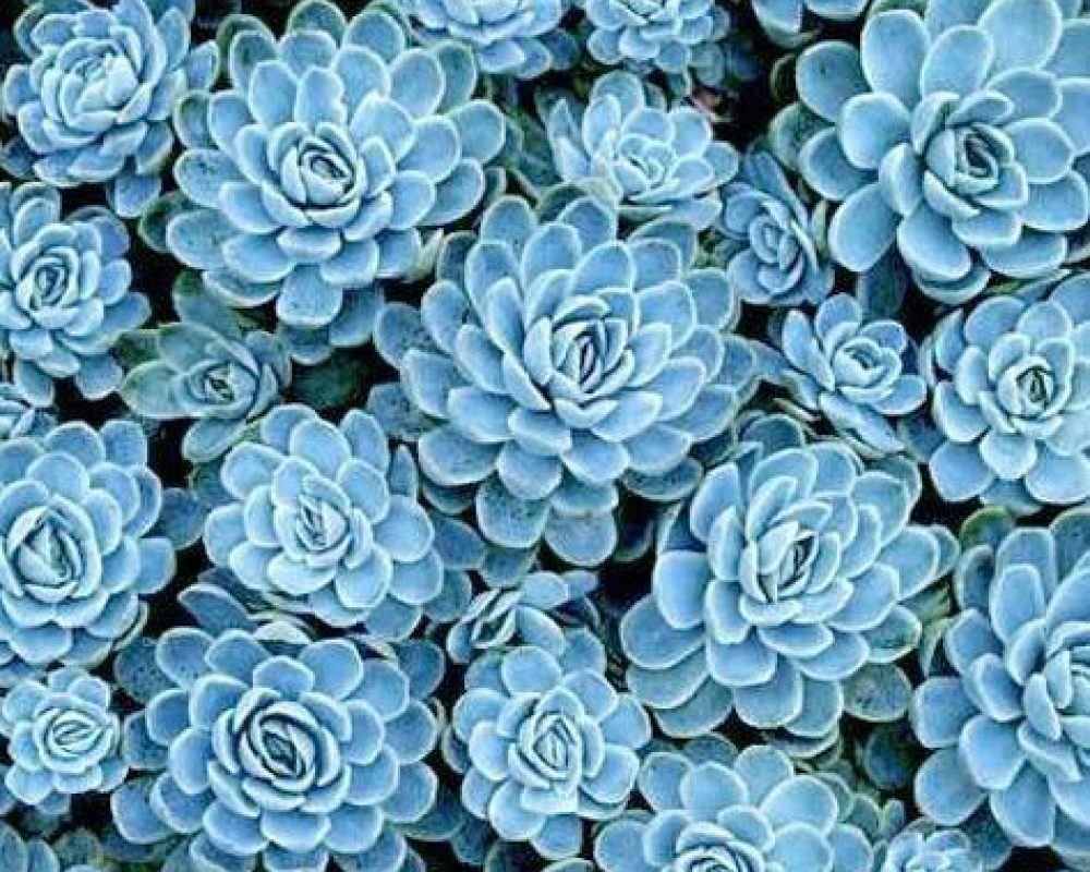 Cc5da8c0042355c714e4b0a4b35808f4