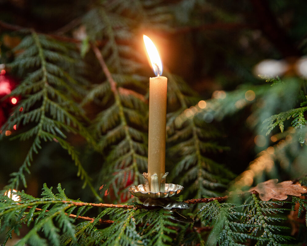 Christbaumkerzen weihnachten gold moment