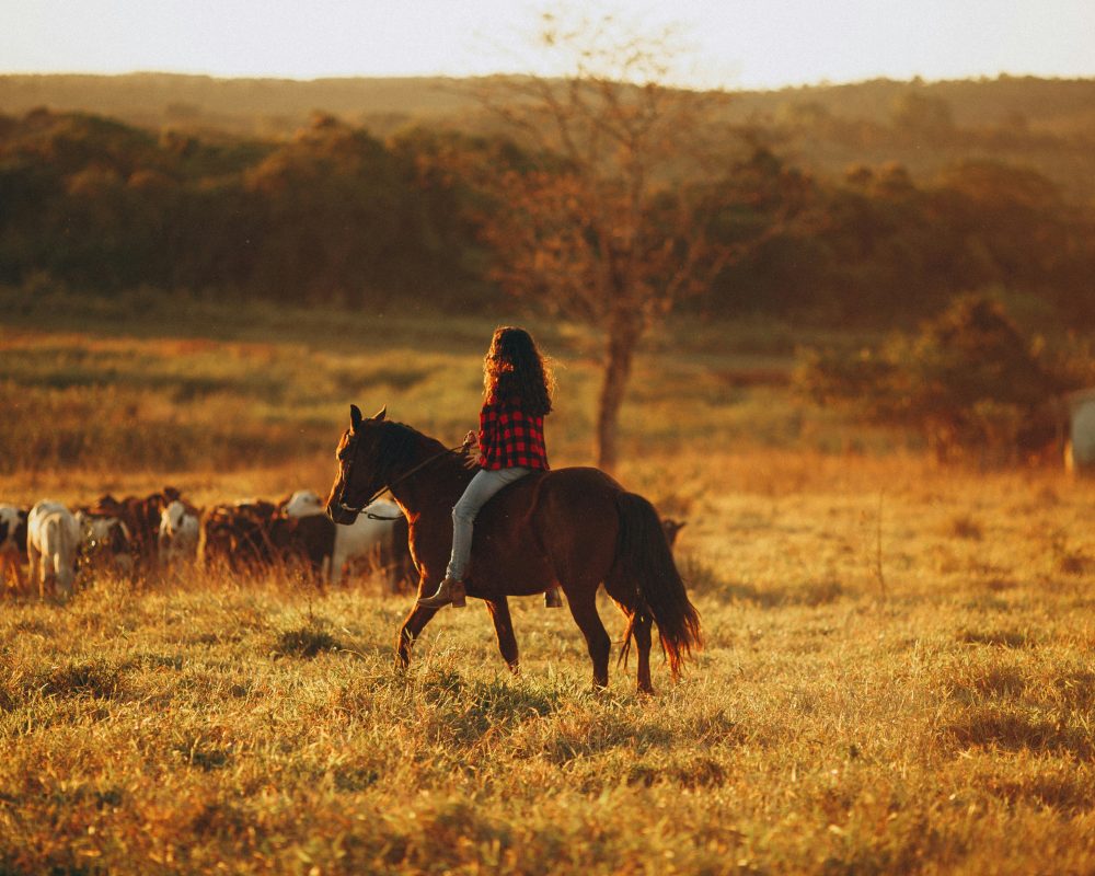 Helena lopes tu Qs W5z Maw U unsplash