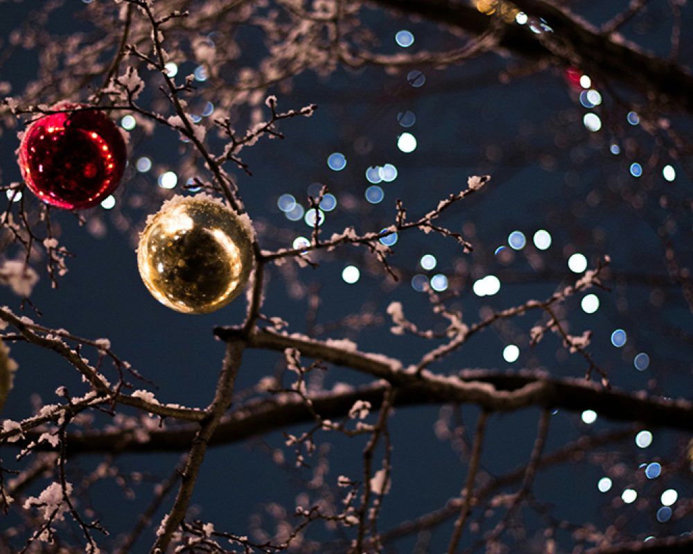 Holiday cheer holiday cheer weihnachts lichter baum