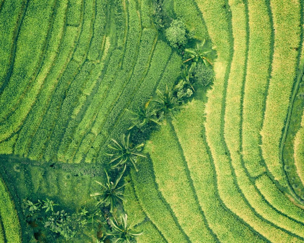Ivan bandura QW3o A2wk Pyw unsplash