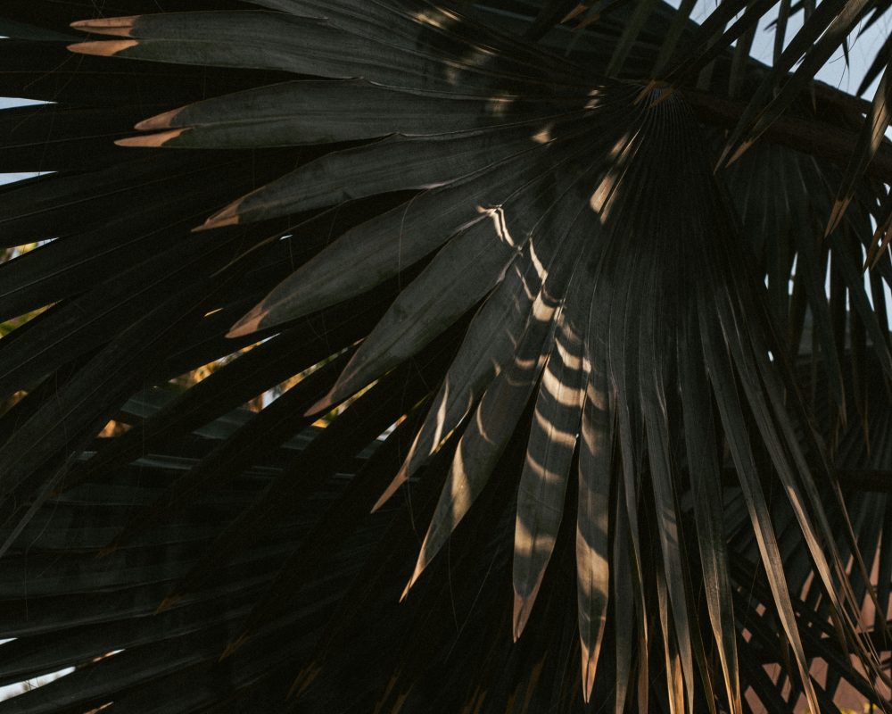 Kristina tochilko UUI A Llim2 M unsplash