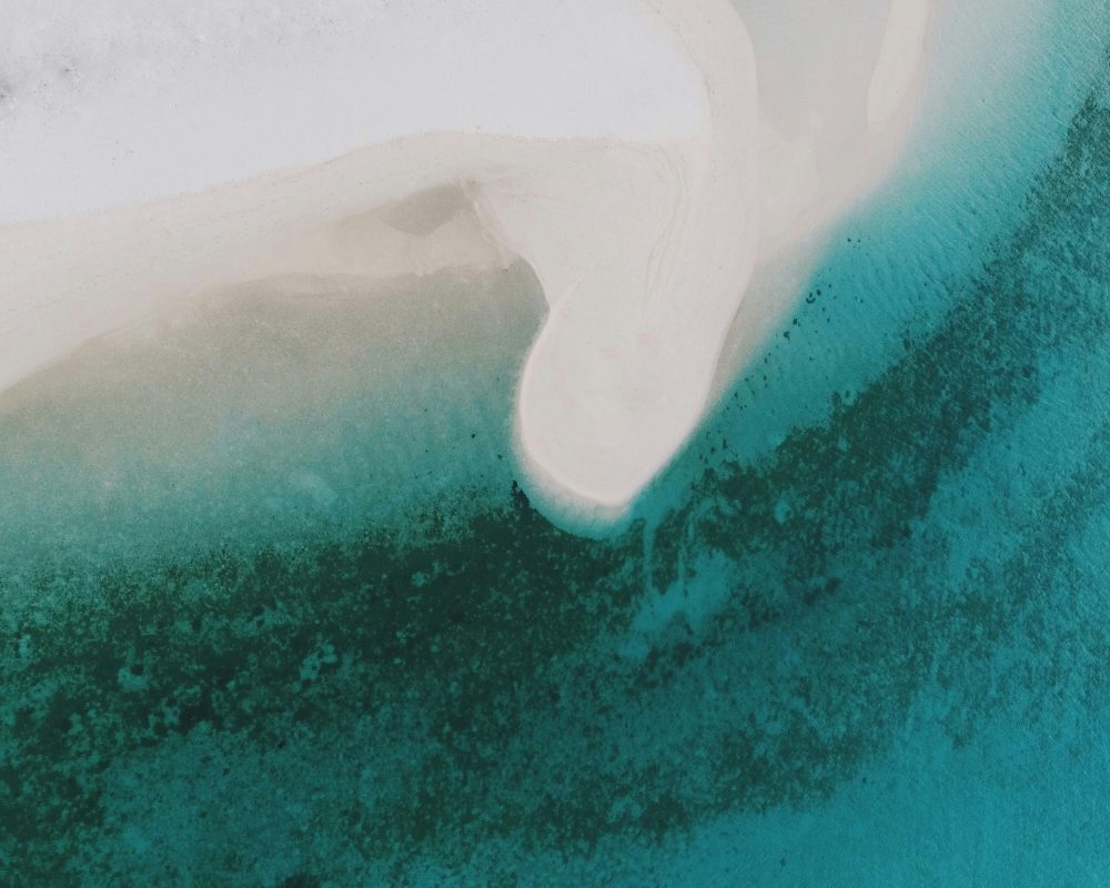 Syd sujuaan 2 Oowobm ZRFE unsplash