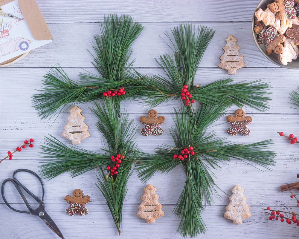 Tannaeste holiday cheer