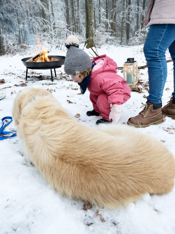 Maedchen hund schnee ausklang