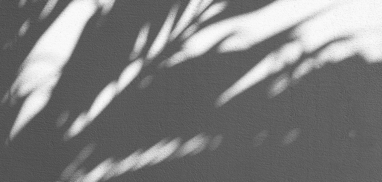 Augustine wong T0 B Yurb DK M unsplash