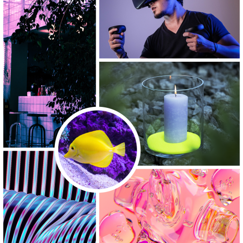 Beyond the Sea Inspiration Instagram