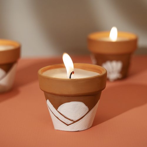 Citronella Tontoepfli 02