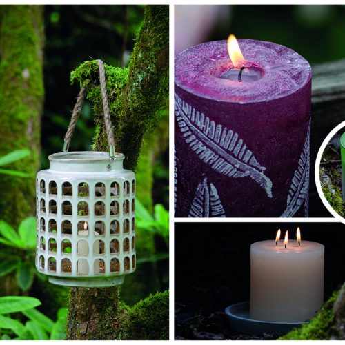 Header mystic garden21