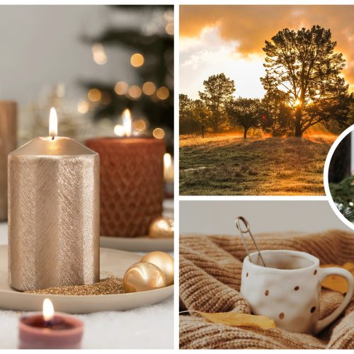 Inspiration Amber Hills