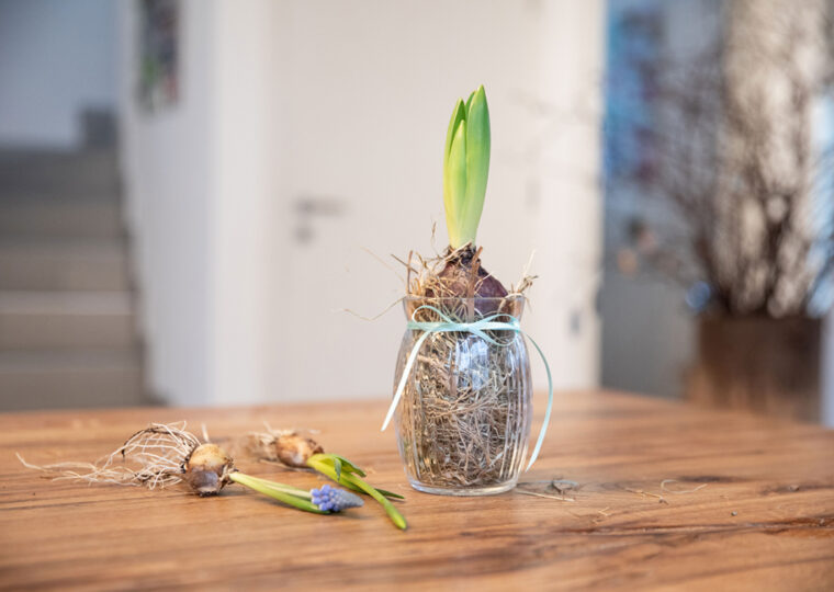 210203 Balthasar Ostern 52 web