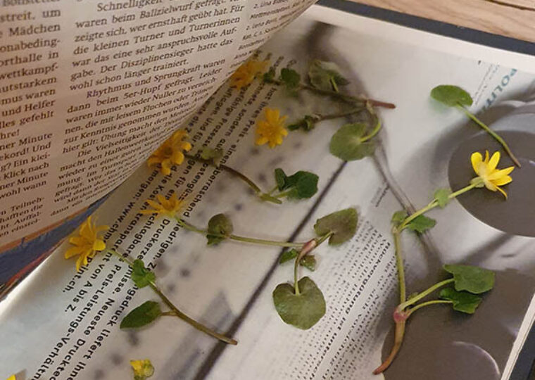 Blumenkerzen blumen pressen zeitung