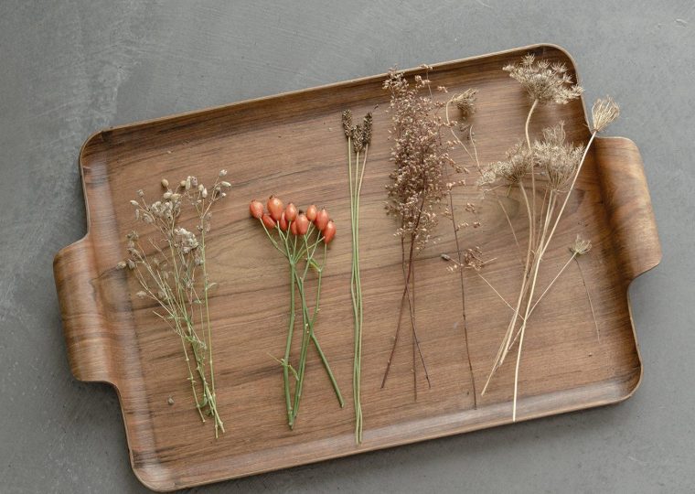 Graeser trockenblume web