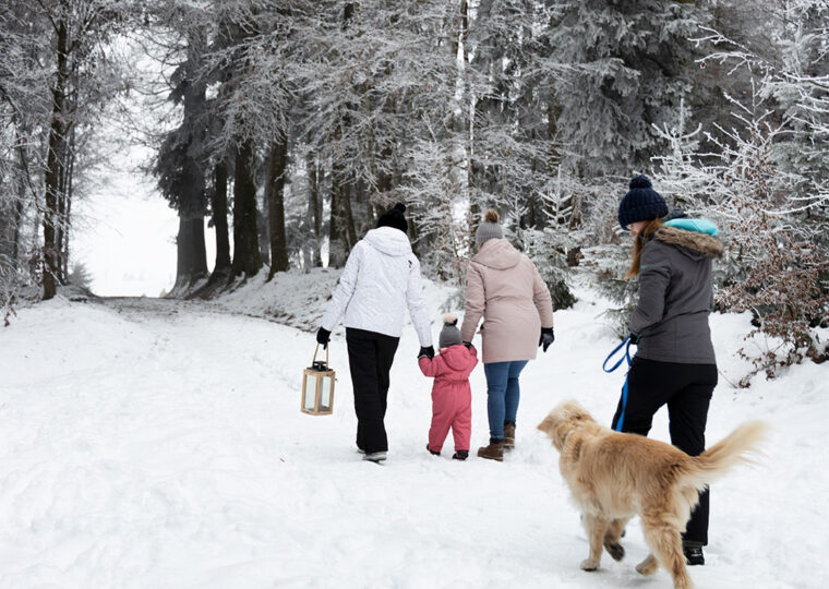 Winterweg holzlaterne spaziergang ausklang im schnee
